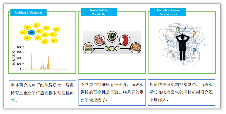 單細(xì)胞ATAC測序